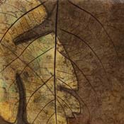 Artwork Irene Lauden