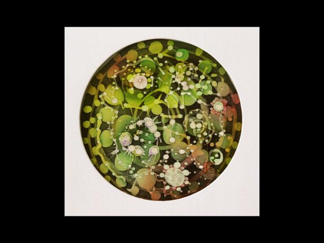 ORGANIC SHAPES IN GREEN