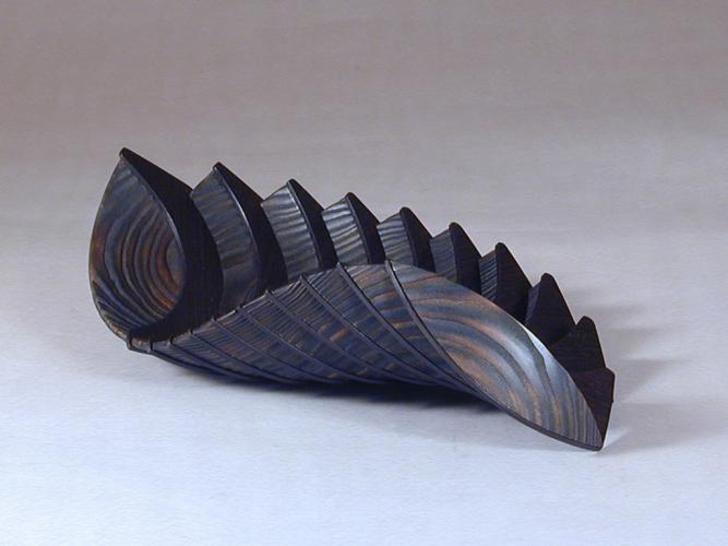 BLACK SHELL