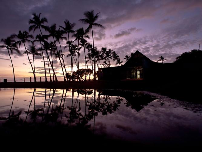 HALE REFLECTION